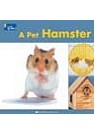 A Pet Hamster