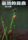 臺灣的昆蟲–綜合篇