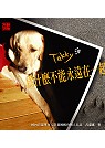 Takky：為什麼不能永遠在一起 國內首部導盲犬寄養媽媽的動人日記