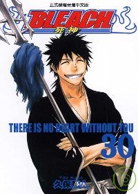 BLEACH 死神 30