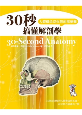 30秒搞懂解剖學，人體構造沒你想的那麼難