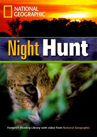 Footprint Reading Library-Level 1300 Night Hunt