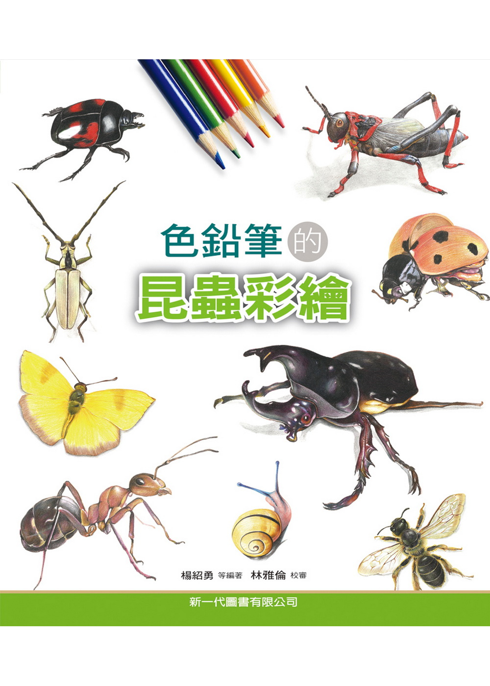 色鉛筆的昆蟲彩繪