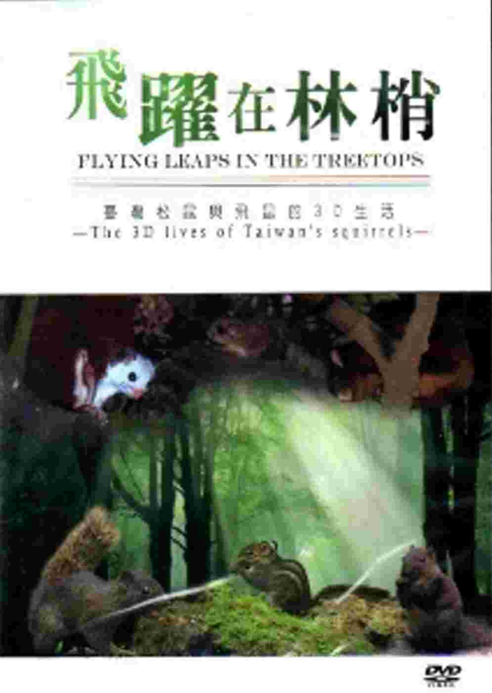 飛躍在林梢－台灣松鼠與飛鼠的3D生活[DVD]