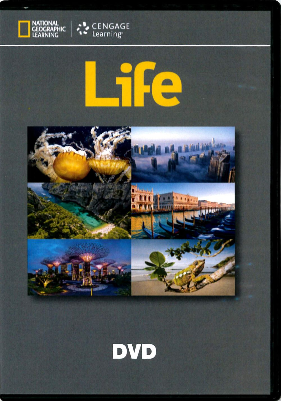 Life (1-6) DVD/2片