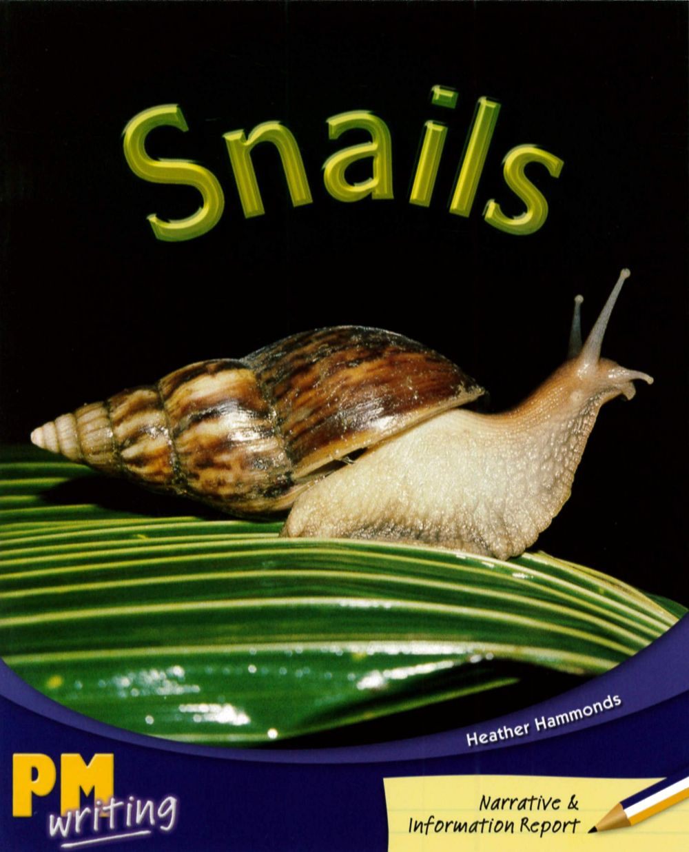 PM Writing 3 Purple/Gold 20/21 Snails