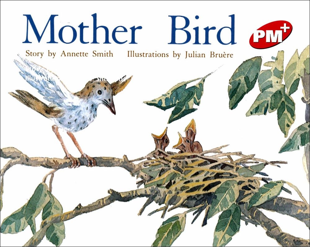 PM Plus Red (4) Mother Bird