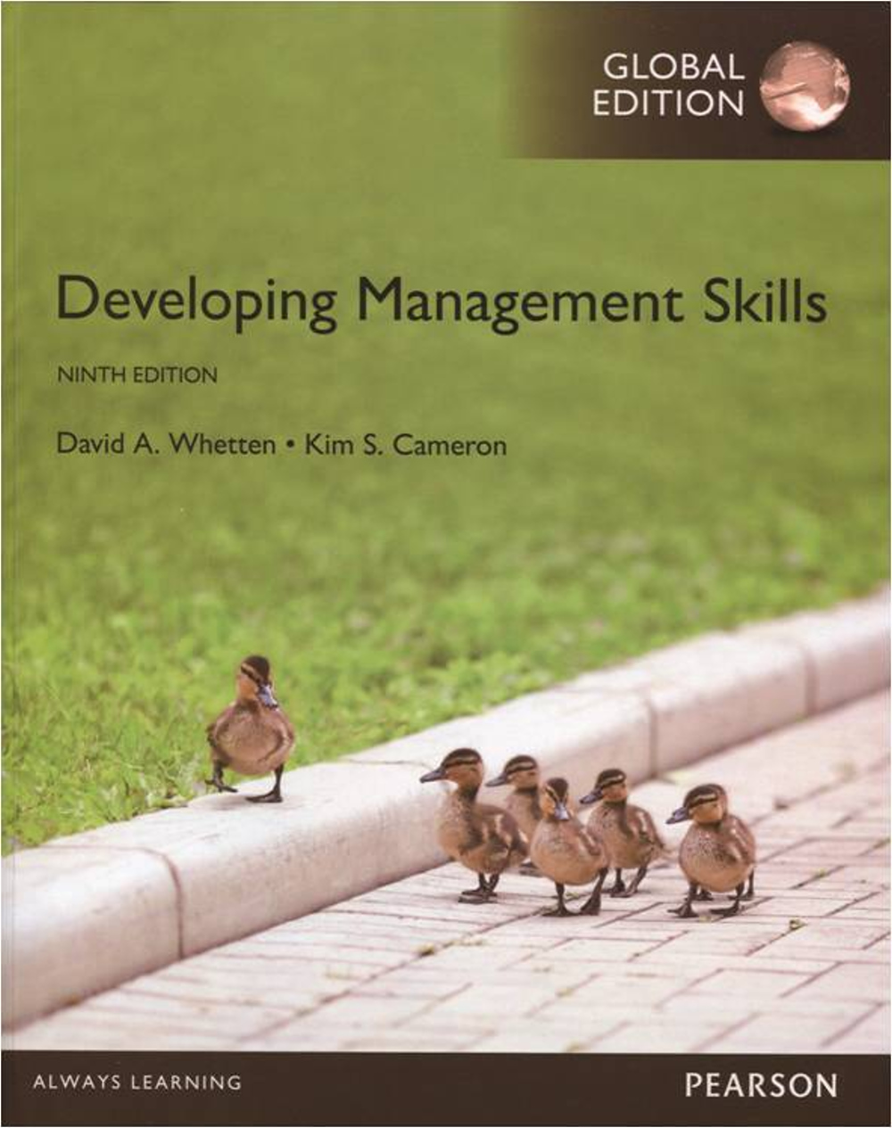Developing Management Skills (...