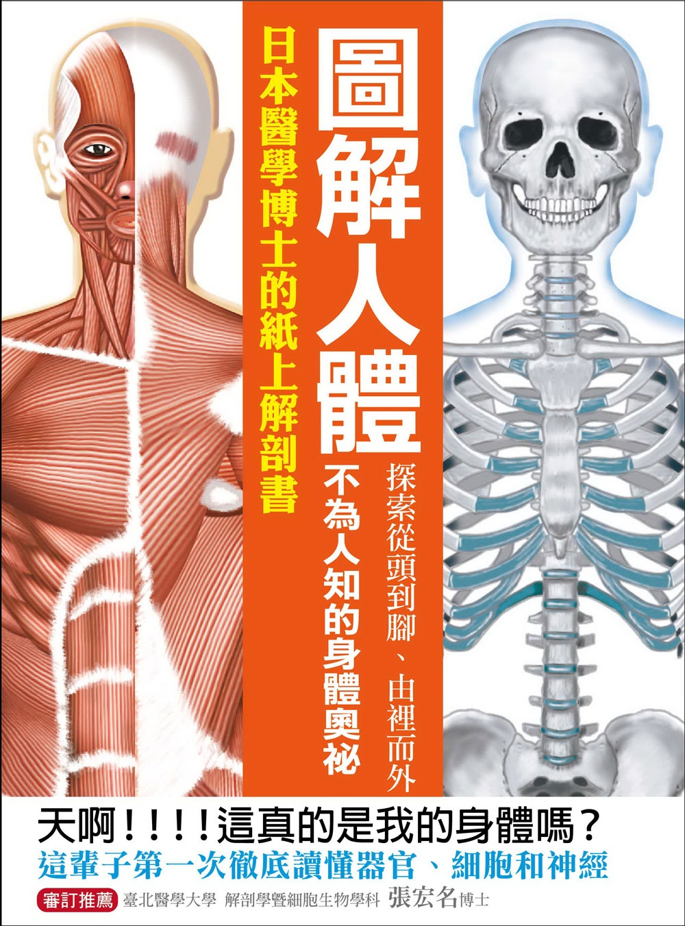 圖解人體：探索從頭到腳、由裡而外不為人知的身體奧祕！日本醫學...