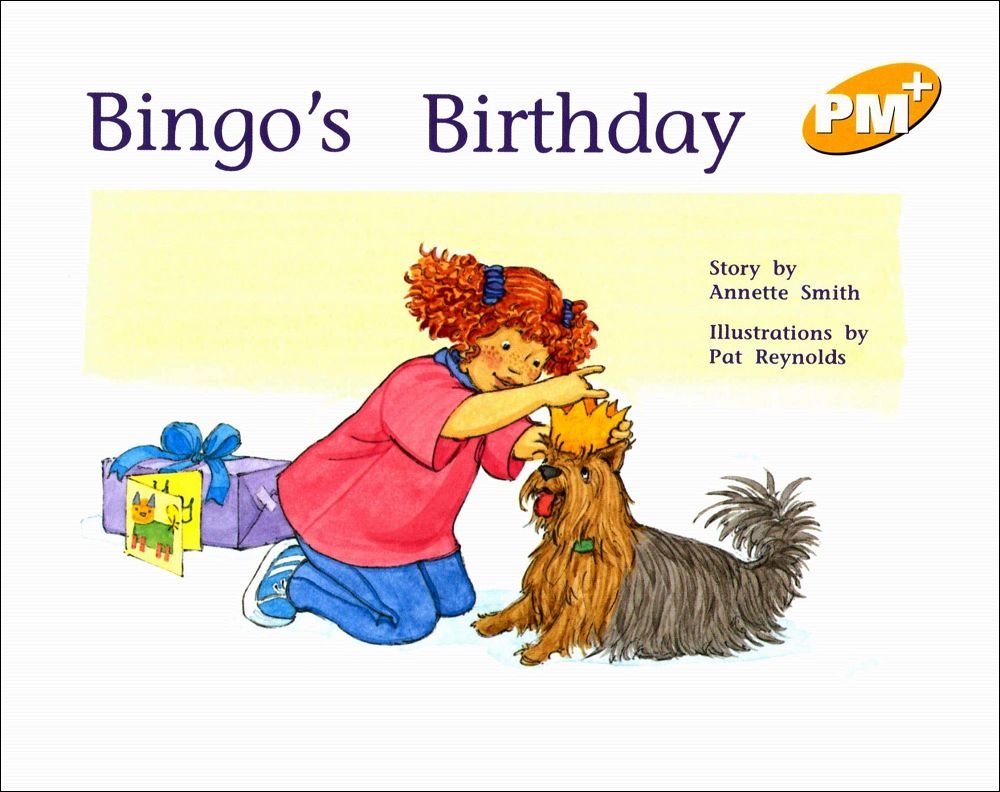 PM Plus Yellow (7) Bingo’s Birthday