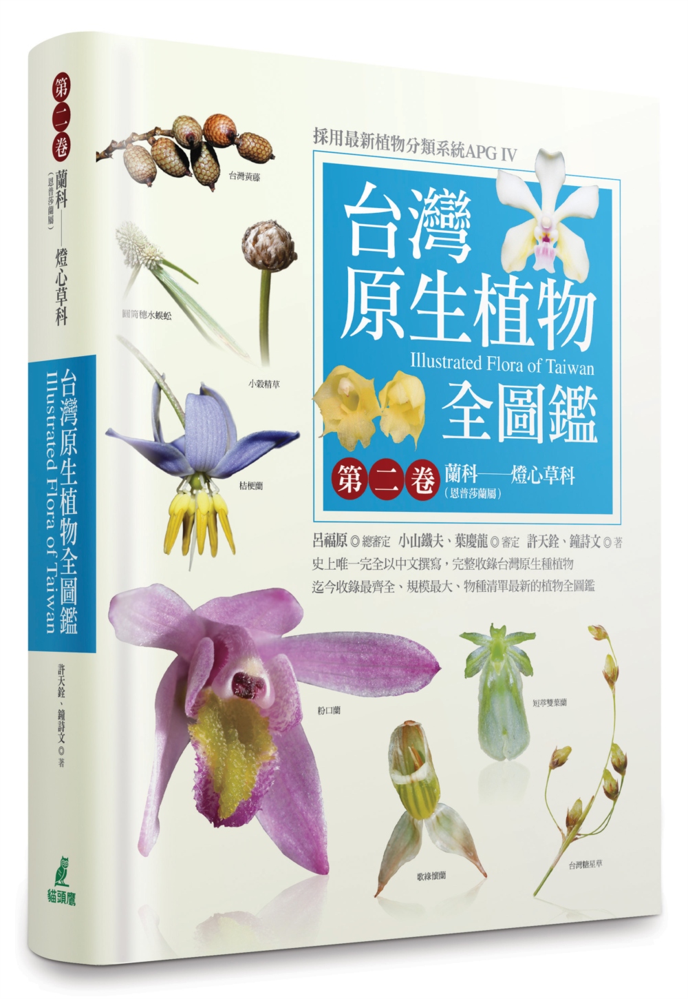 台灣原生植物全圖鑑第二卷：蘭科（恩普莎蘭屬）:燈心草科