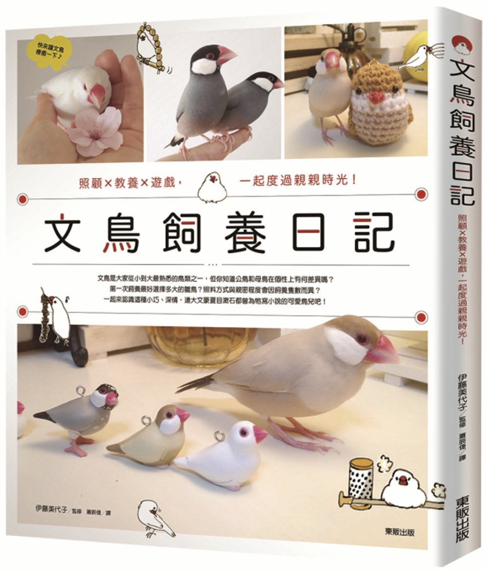 文鳥飼養日記：照顧x教養x遊戲，一起度過親親時光！