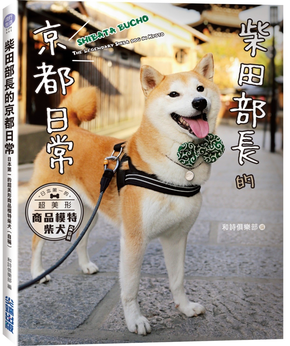 柴田部長的京都日常：日本第一的超美形商品模特柴犬（自稱）