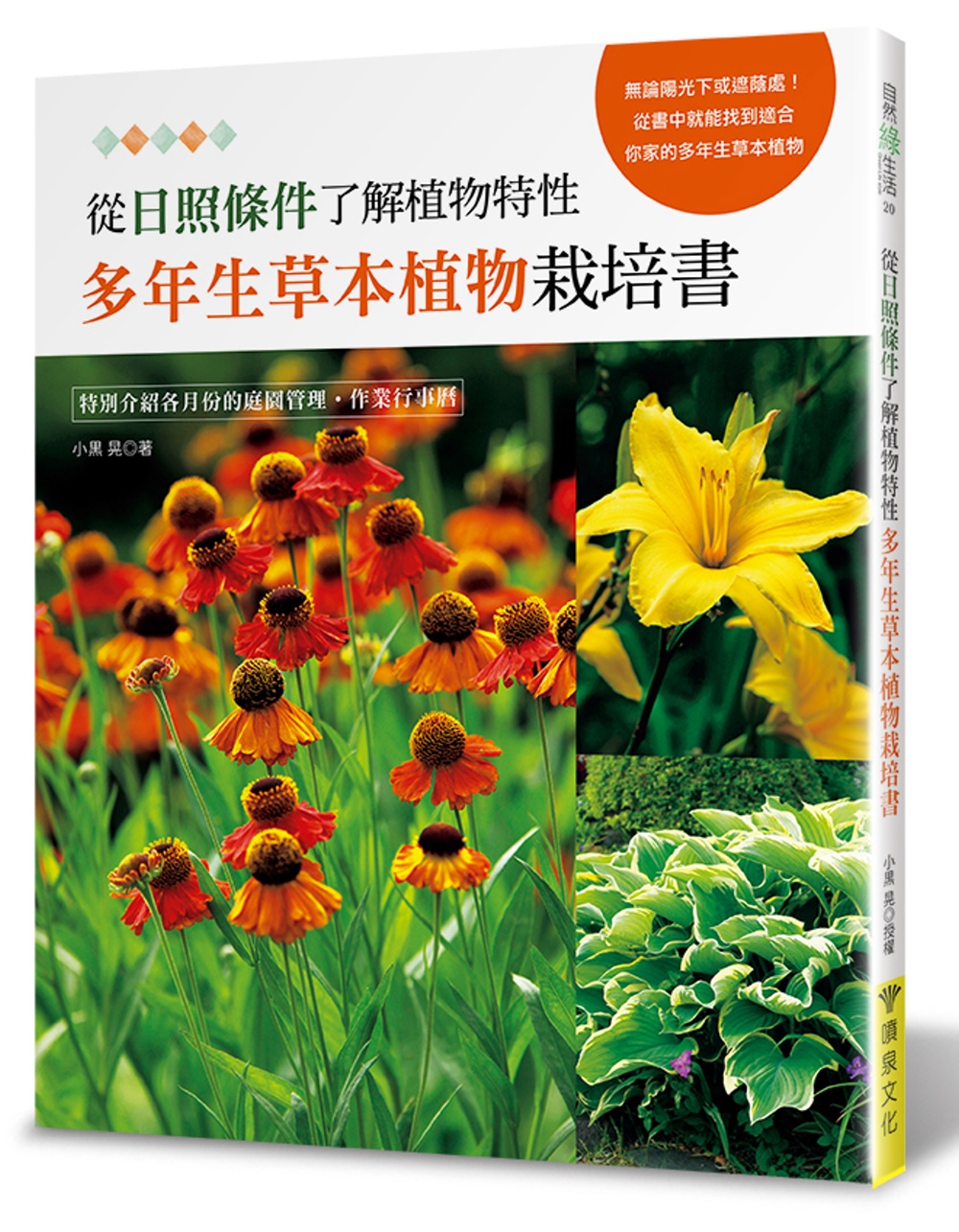 從日照條件了解植物特性：多年生草本植物栽培書