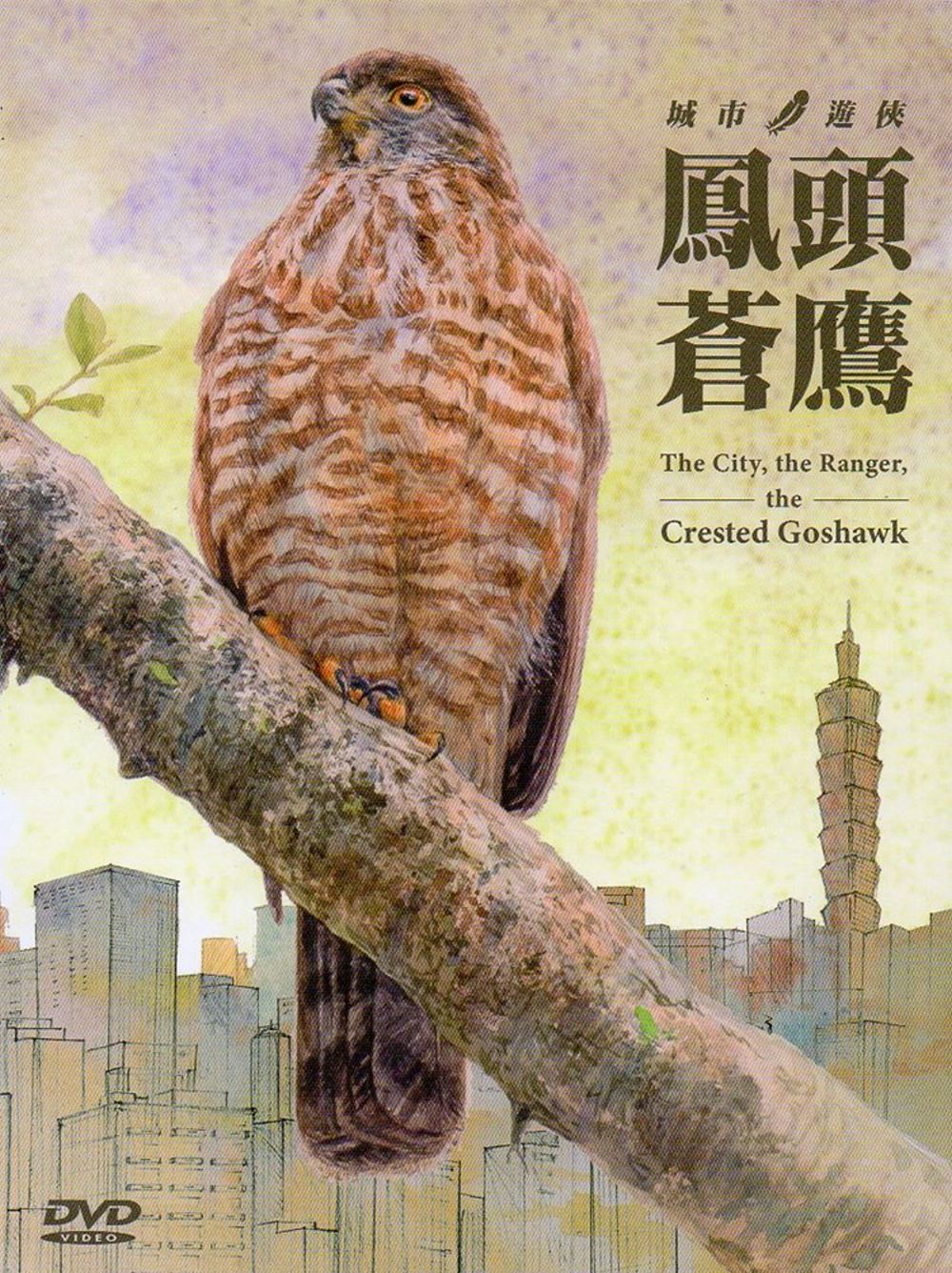 城市．遊俠．鳳頭蒼鷹(DVD)
