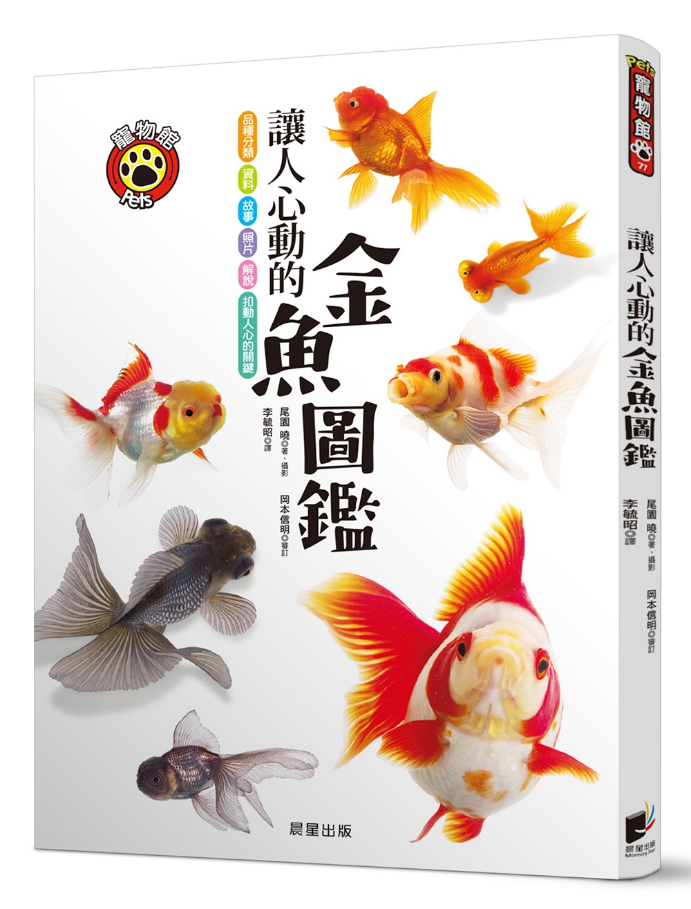 讓人心動的金魚圖...