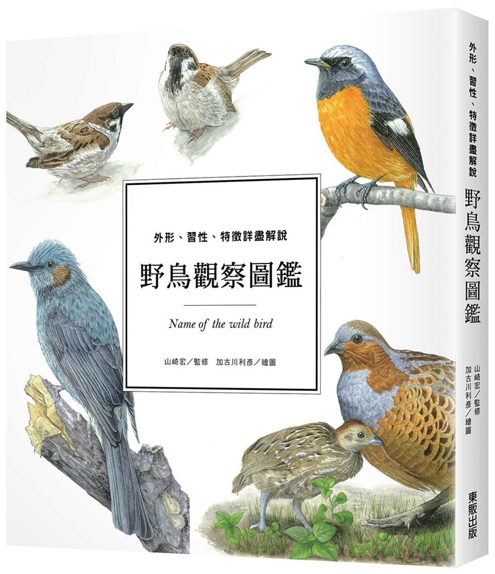 野鳥觀察圖鑑：外形、習性、特徵詳盡解說