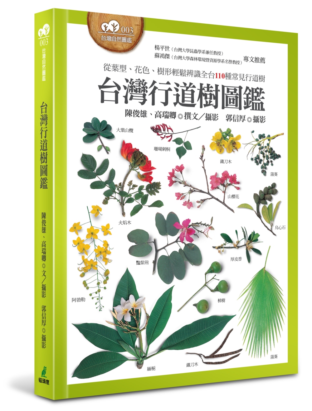 台灣行道樹圖鑑（從葉型、花色、樹形輕鬆辨識全台110種常見行道樹）