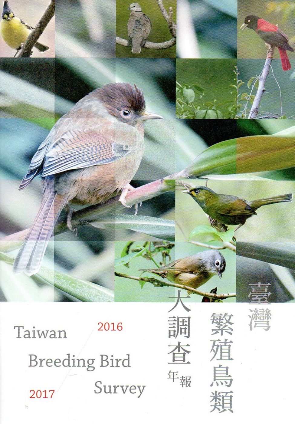 臺灣繁殖鳥類大調查2016-2017年報