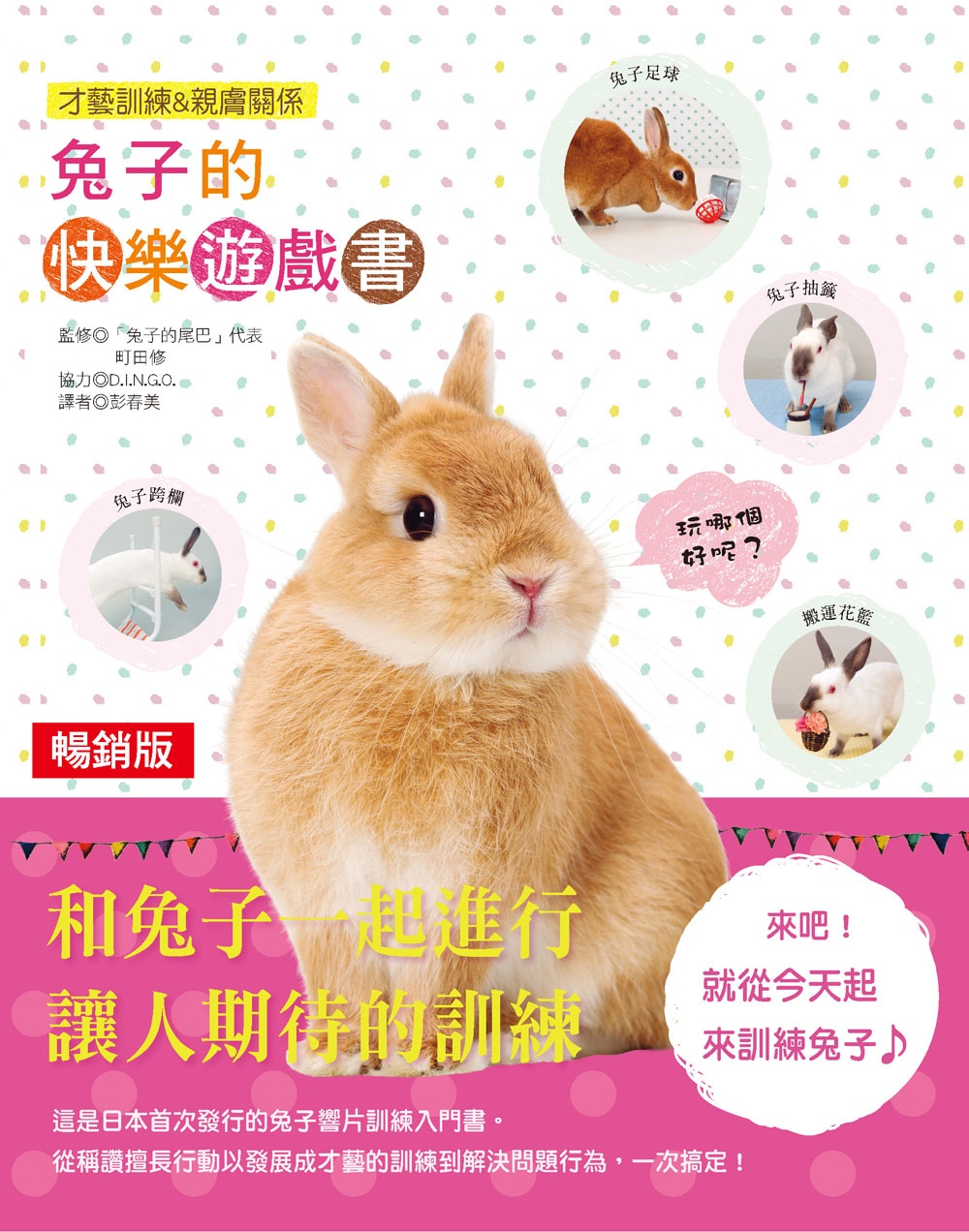 兔子的快樂遊戲書（暢銷版）