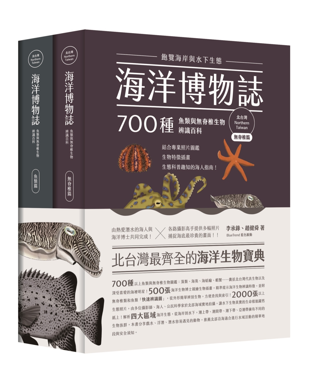 海洋博物誌（北台灣）：飽覽海岸與水下生態！700種魚類與無脊...