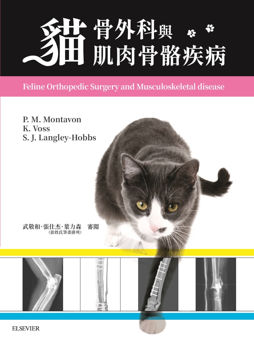 貓骨外科與肌肉骨...