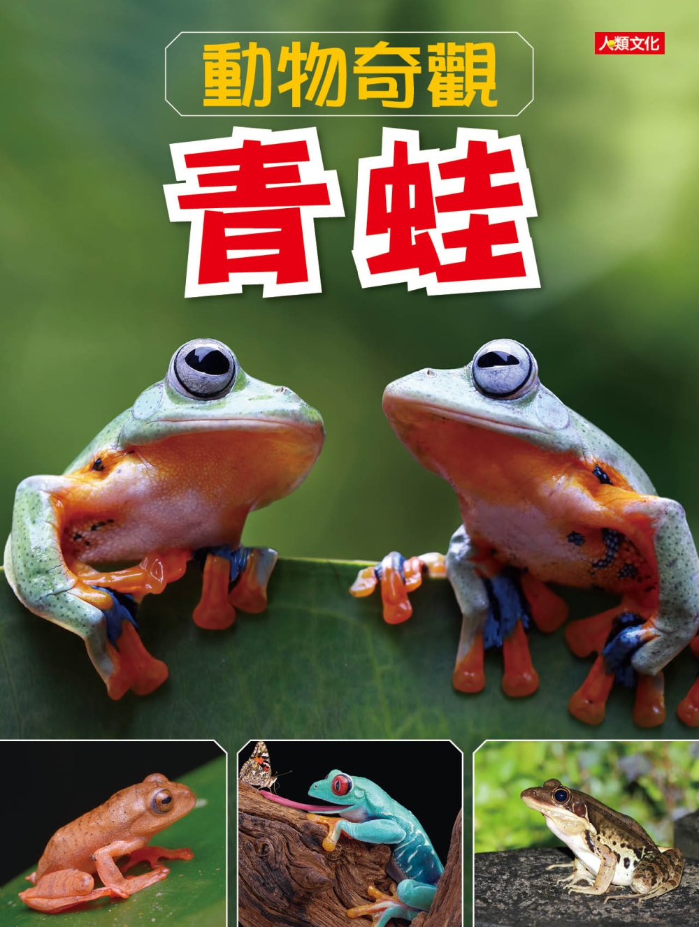 動物奇觀：青蛙