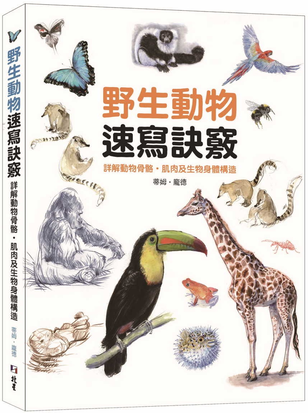 野生動物速寫訣竅：詳解動物骨骼、肌肉及生物身體構造