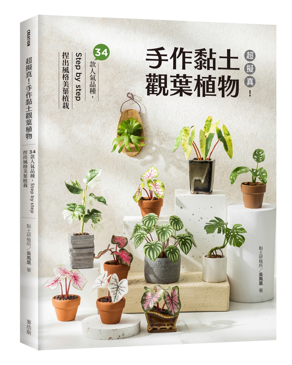 超擬真！手作黏土觀葉植物：34款人氣品種，Step by step 捏出風格美葉植栽