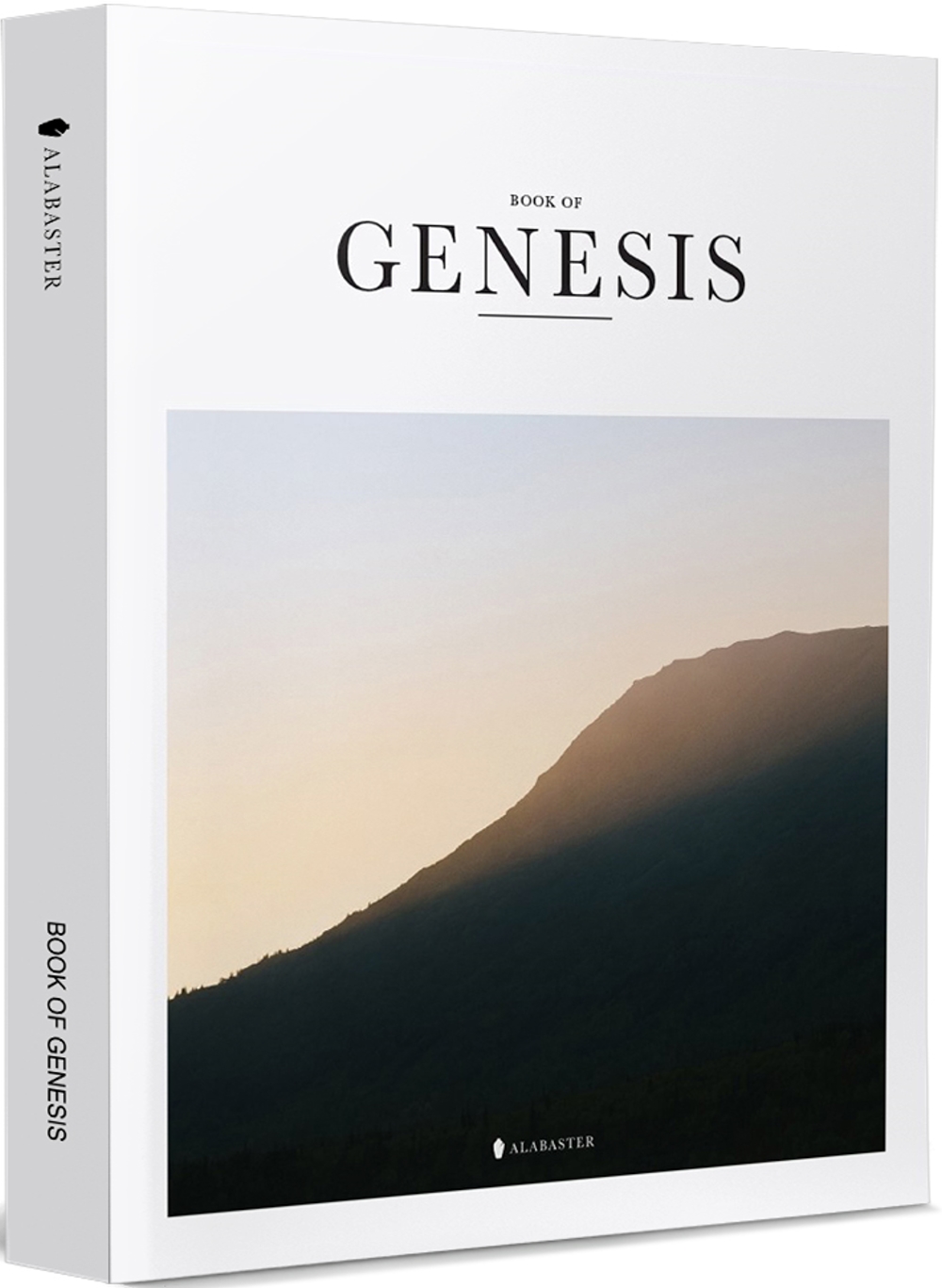 BOOK OF GENESIS(New Living Translation)