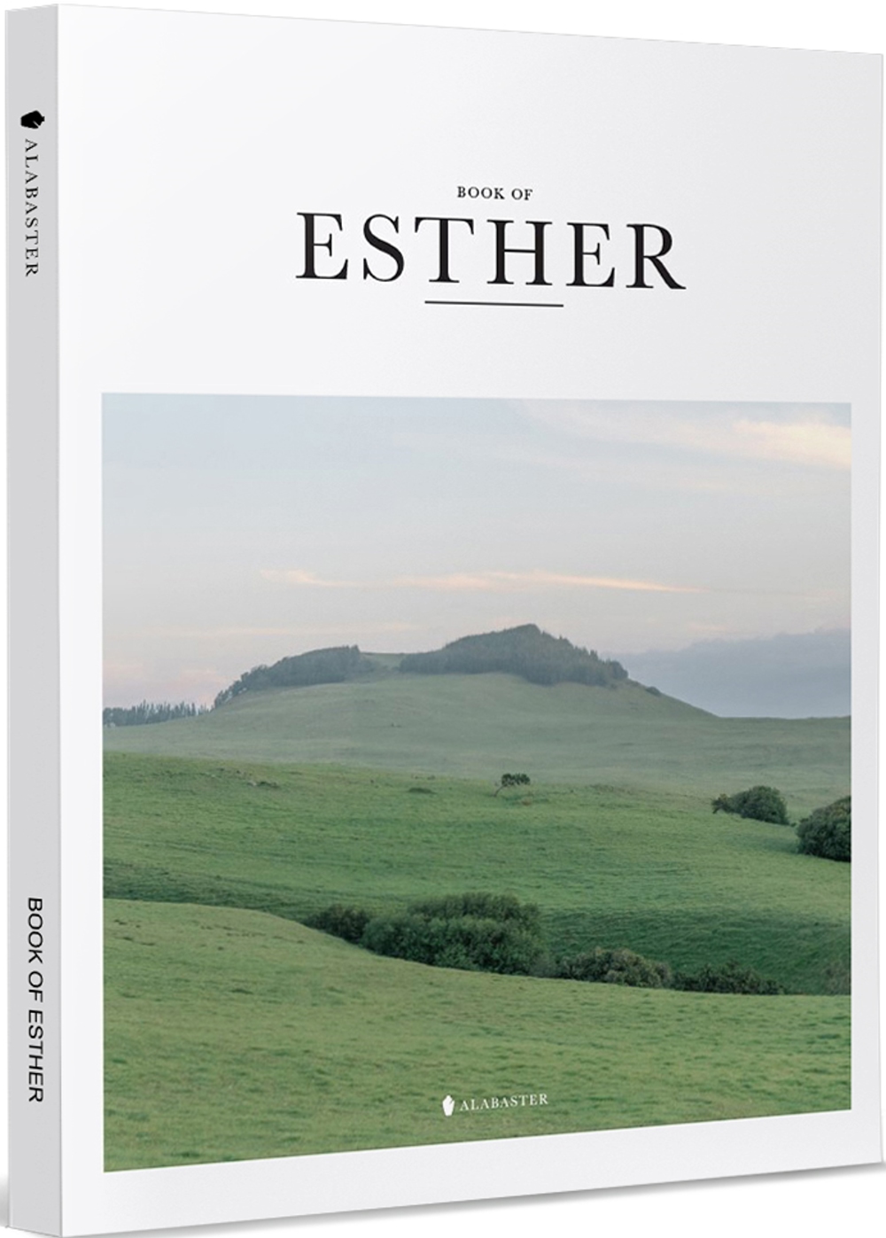 BOOK OF ESTHER(New Living Translation)