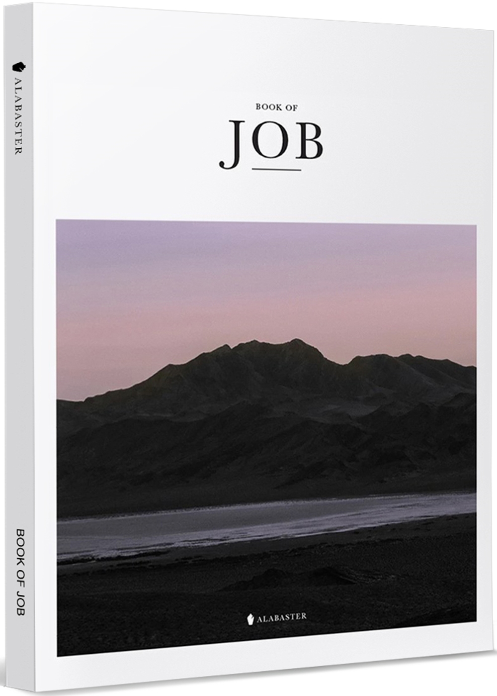 BOOK OF JOB(New Living Transla...