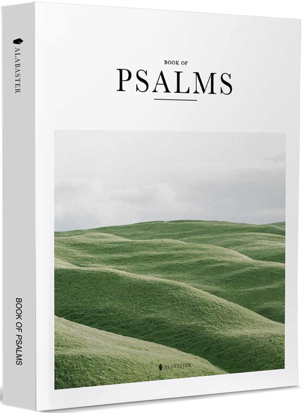 BOOK OF PSALMS(New Living Translation)