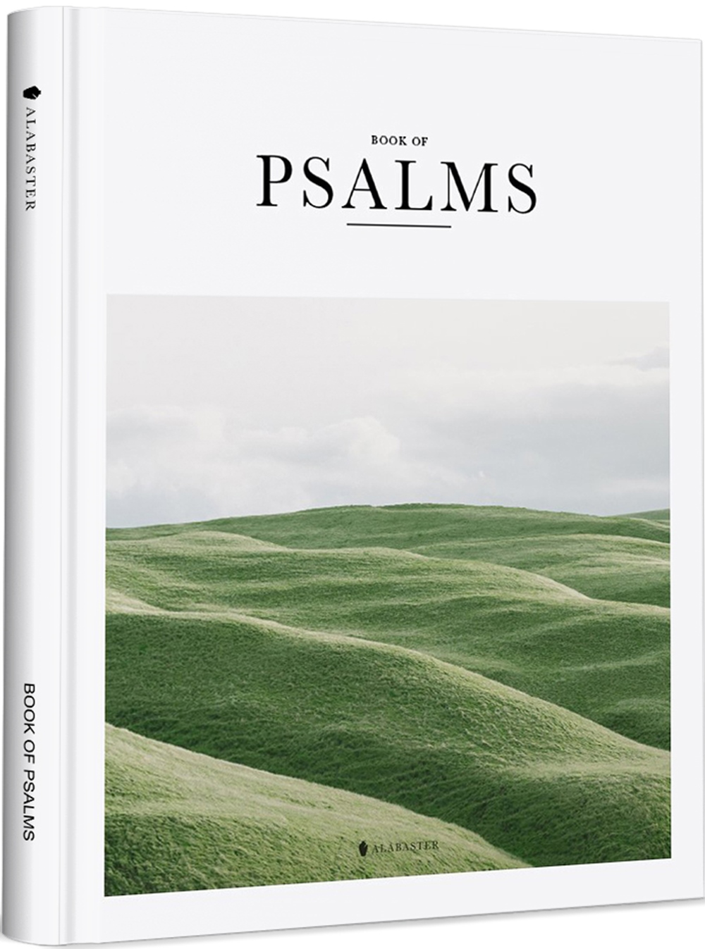 BOOK OF PSALMS(New Living Tran...