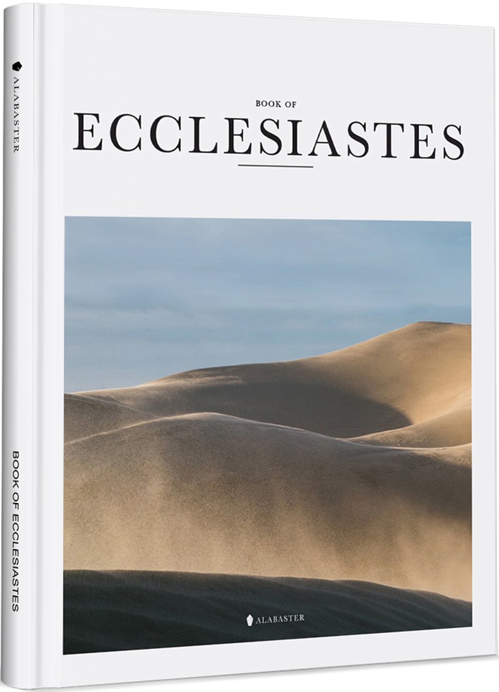 BOOK OF ECCLESIASTES(New Living Translation)(Hardcover)