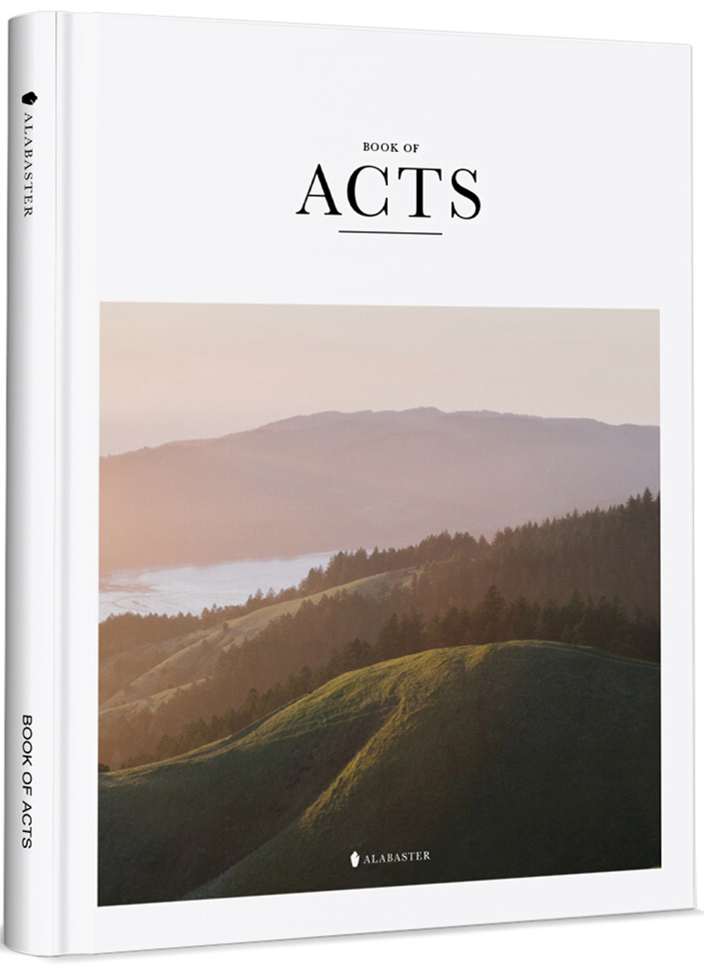 BOOK OF ACTS(New Living Translation)(Hardcover)