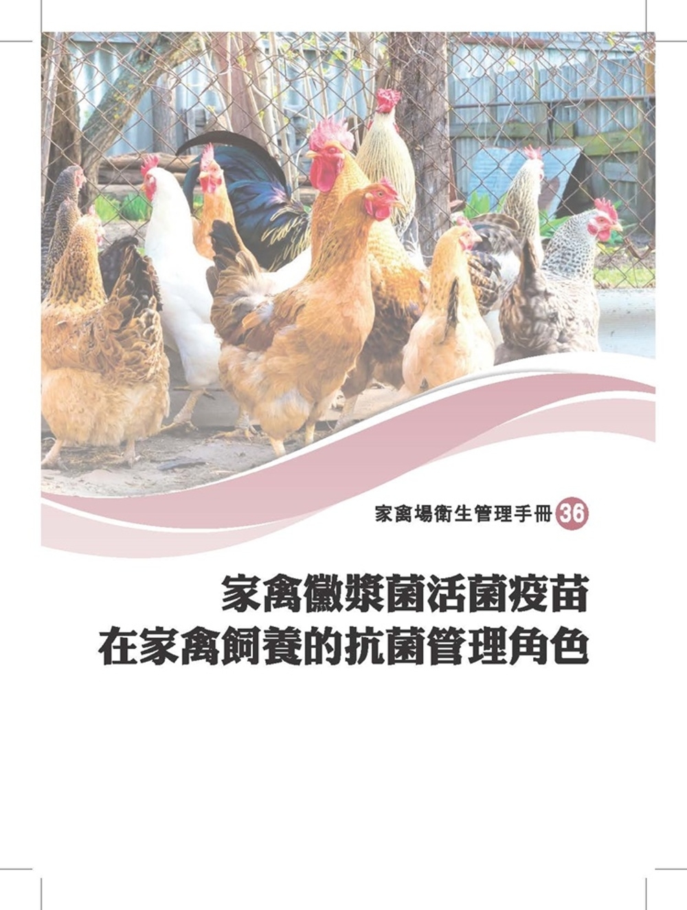 家禽黴漿菌活菌疫苗在家禽飼養的抗菌管理角色
