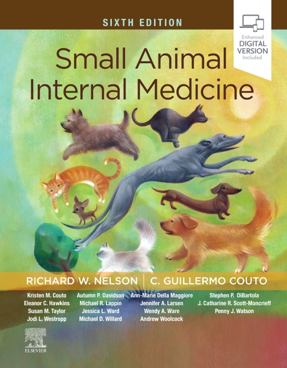 Small Animal Internal Medicine...