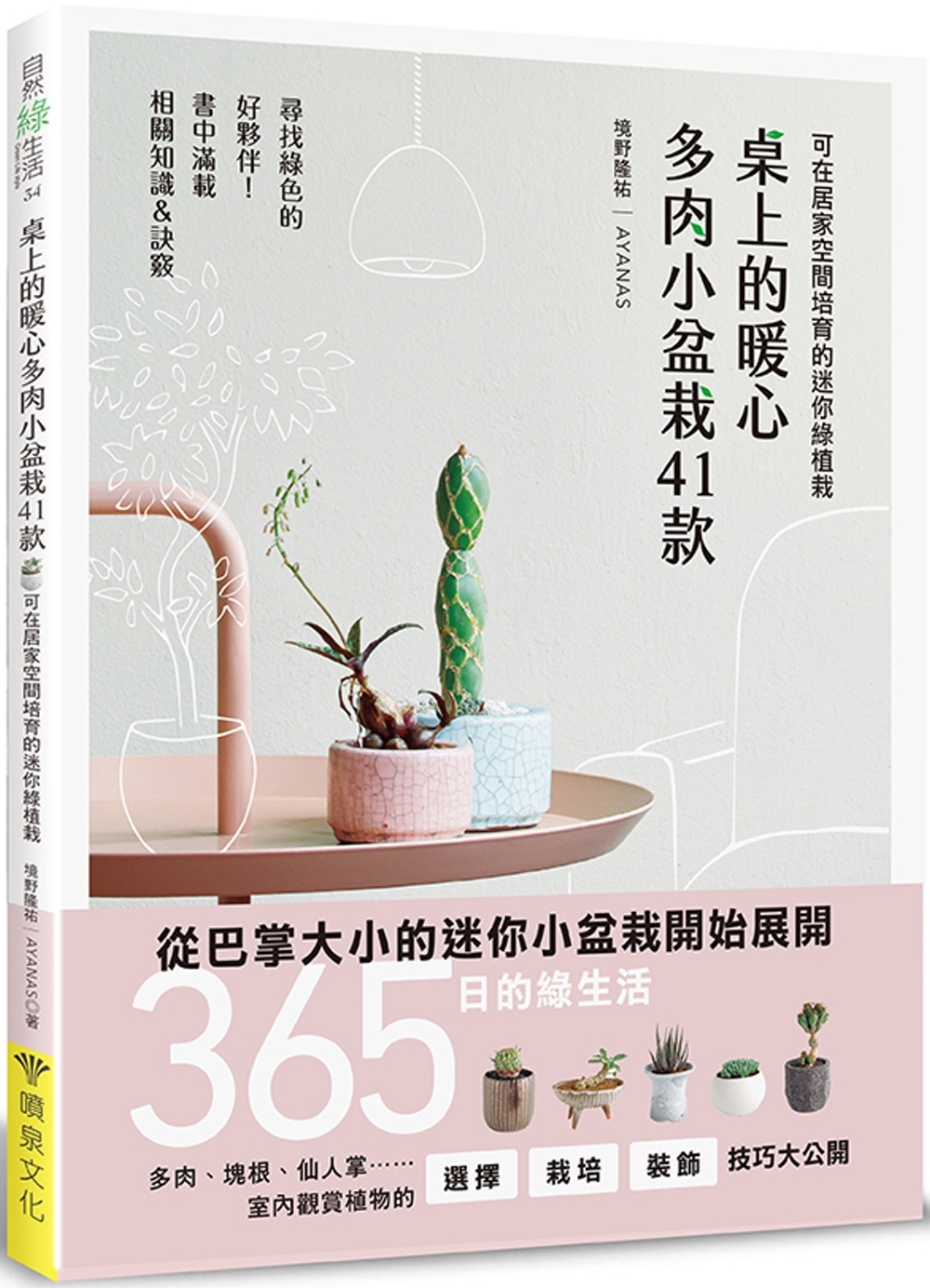 桌上的暖心多肉小盆栽41款：可在居家空間培育的迷你綠植栽