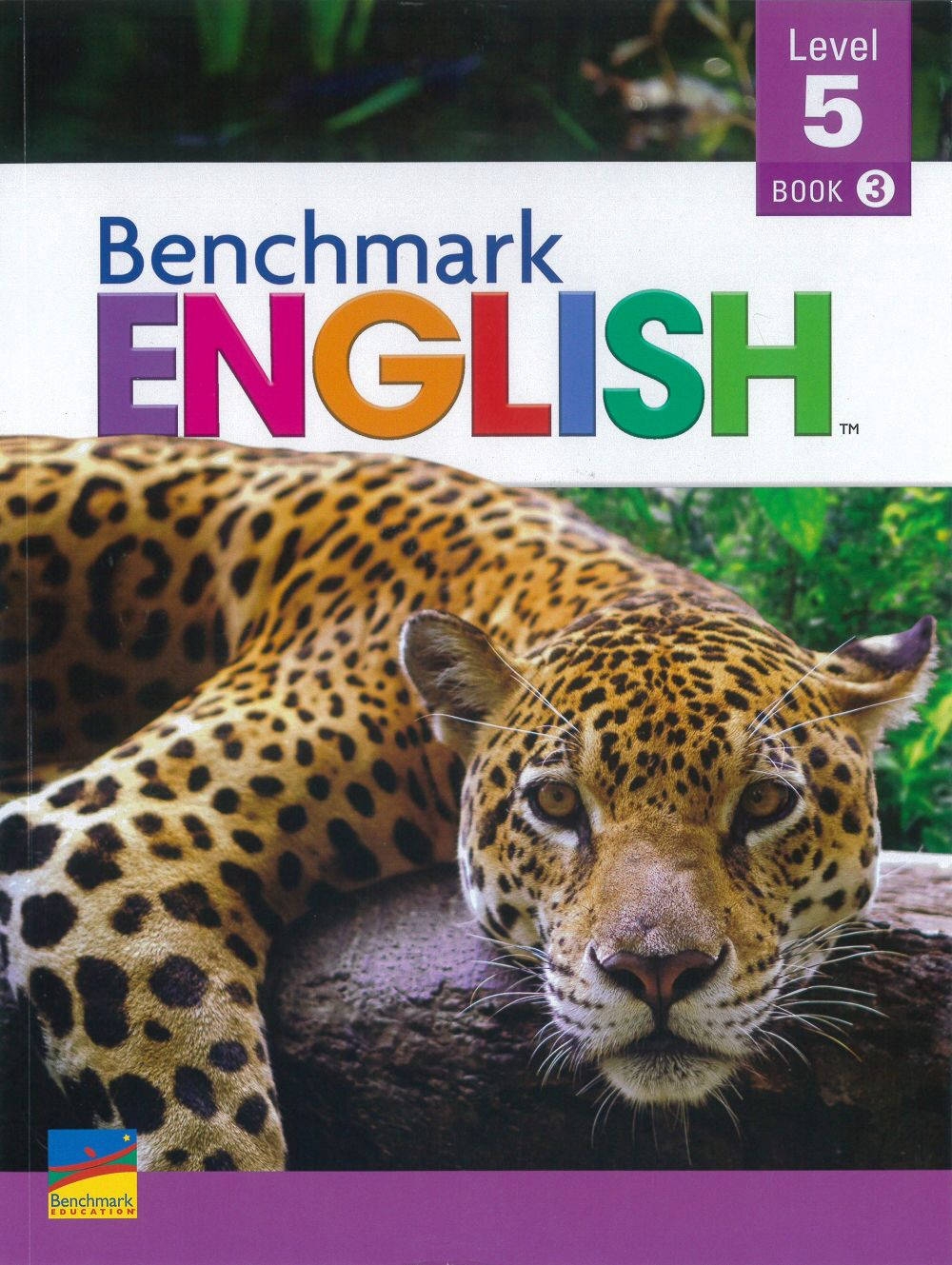 Benchmark English (5) Module 3...