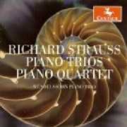 Richard Strauss: Piano Trios & Piano quartet/ Mendelssohn Piano Trio