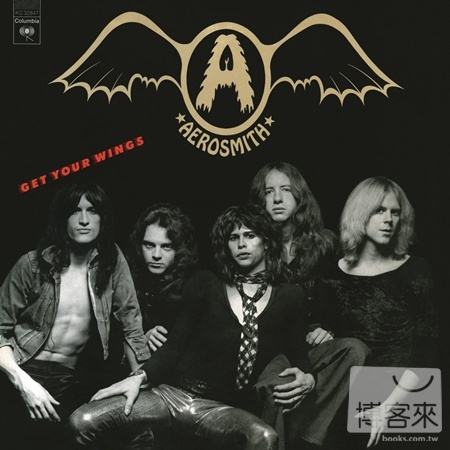 Aerosmith / Get Your Wings (Vi...