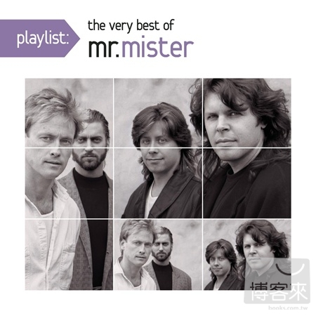 Mr. Mister / Playlist: The Very Best Of Mr. Mister