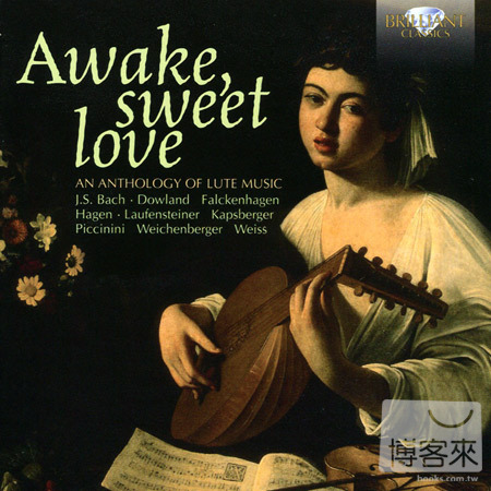 V.A. / Awake Sweet Love, an Anthology of Lute Music (14CD)