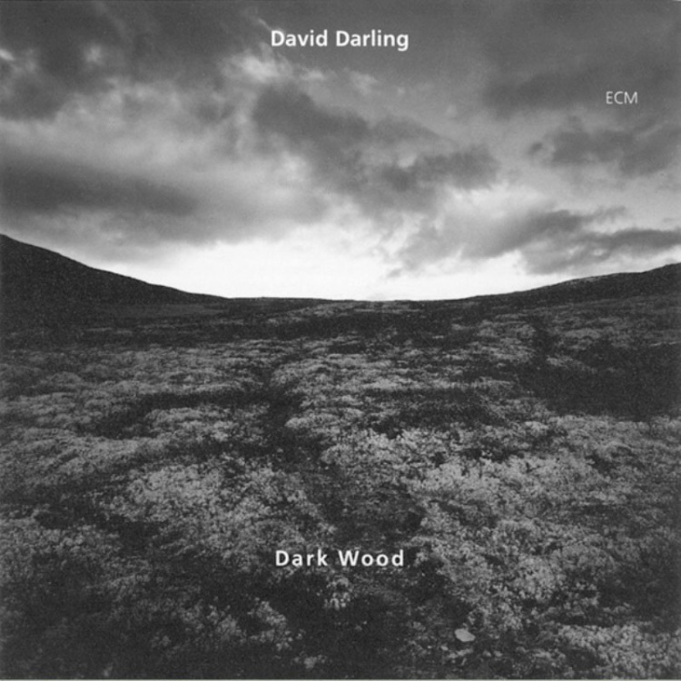 David Darling : Dark Wood