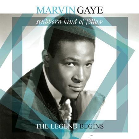 Marvin Gaye / Stubborn Kind Of Fellow - The Legend Begins (180g LP)(限台灣)