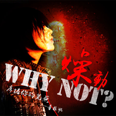 董非妮 / 《Why Not？》（中文名：燥動） (CD)
