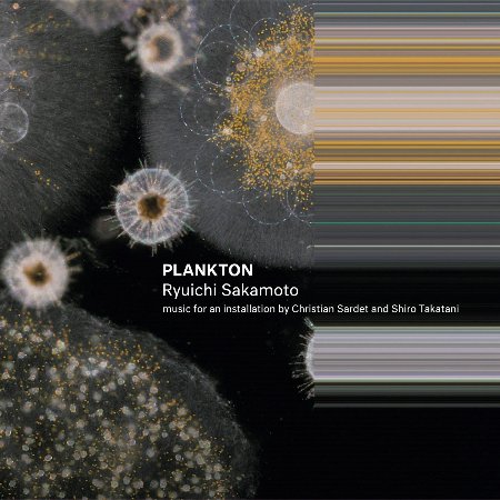 坂本龍一 / Plankton