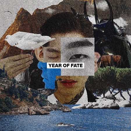 傻子與白痴 / Year Of Fate (平裝版)