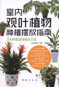 室內觀葉植物種植擺放指南